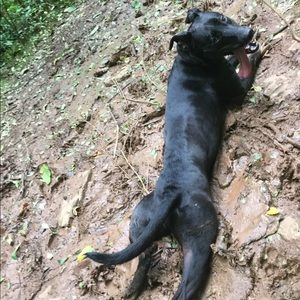 Meet your Posher, Karley